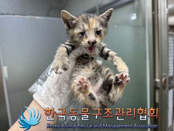 종료(자연사) 한국…